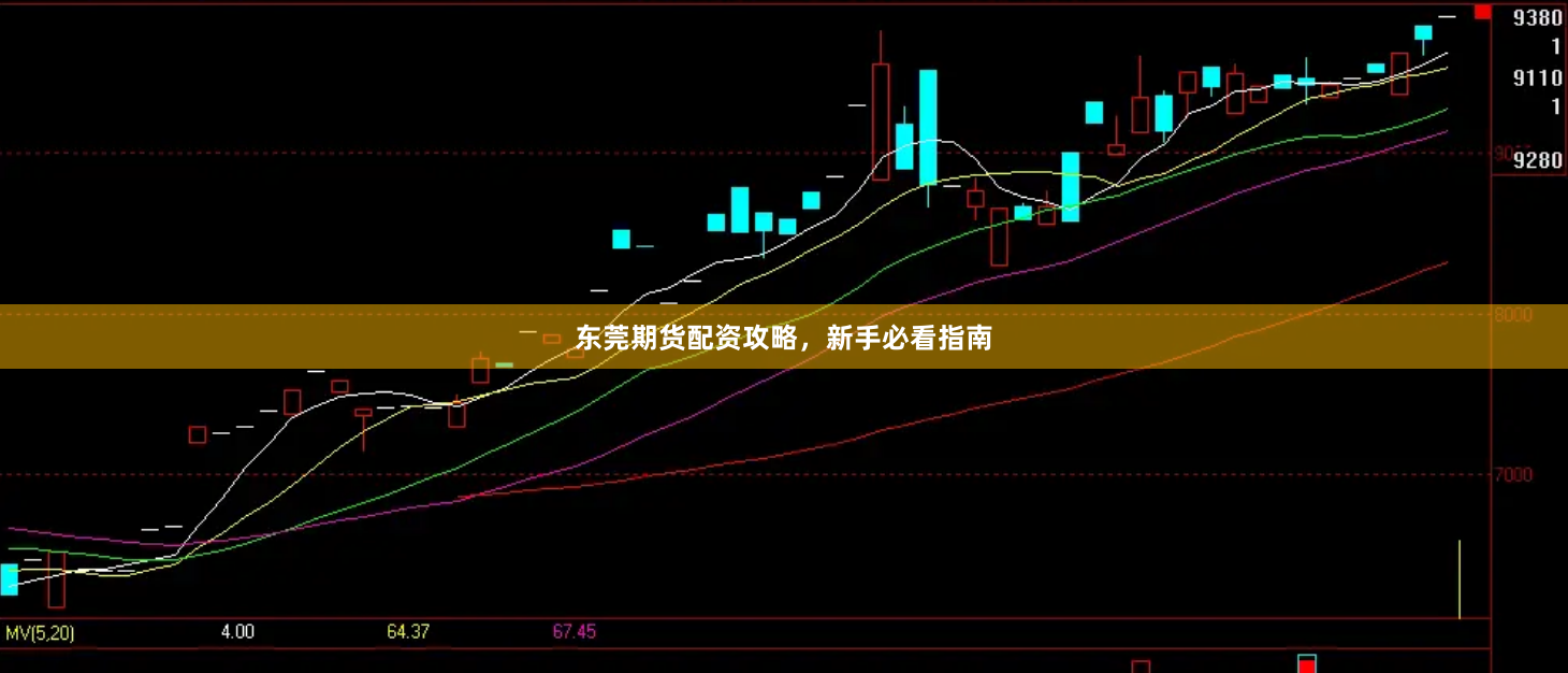 东莞期货配资攻略，新手必看指南